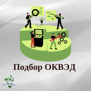 ФНС разъяснила, какой код типа плательщика будет в РСВ, если фактических выплат не было