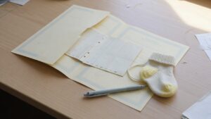 Работодателям придется оплачивать обучение сотрудников в декрете - законопроект 2026