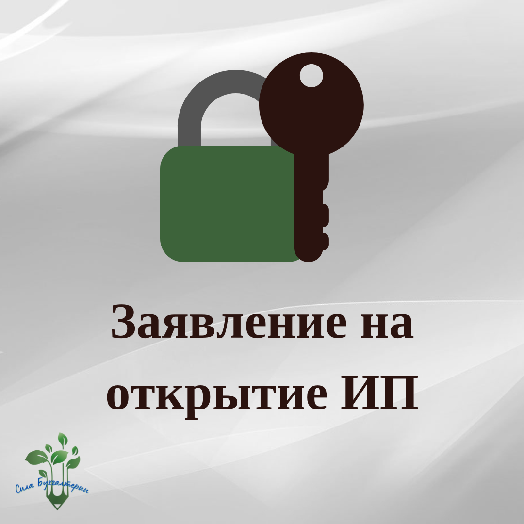 Заявление на открытие ИП + заявление на переход на спец.режим